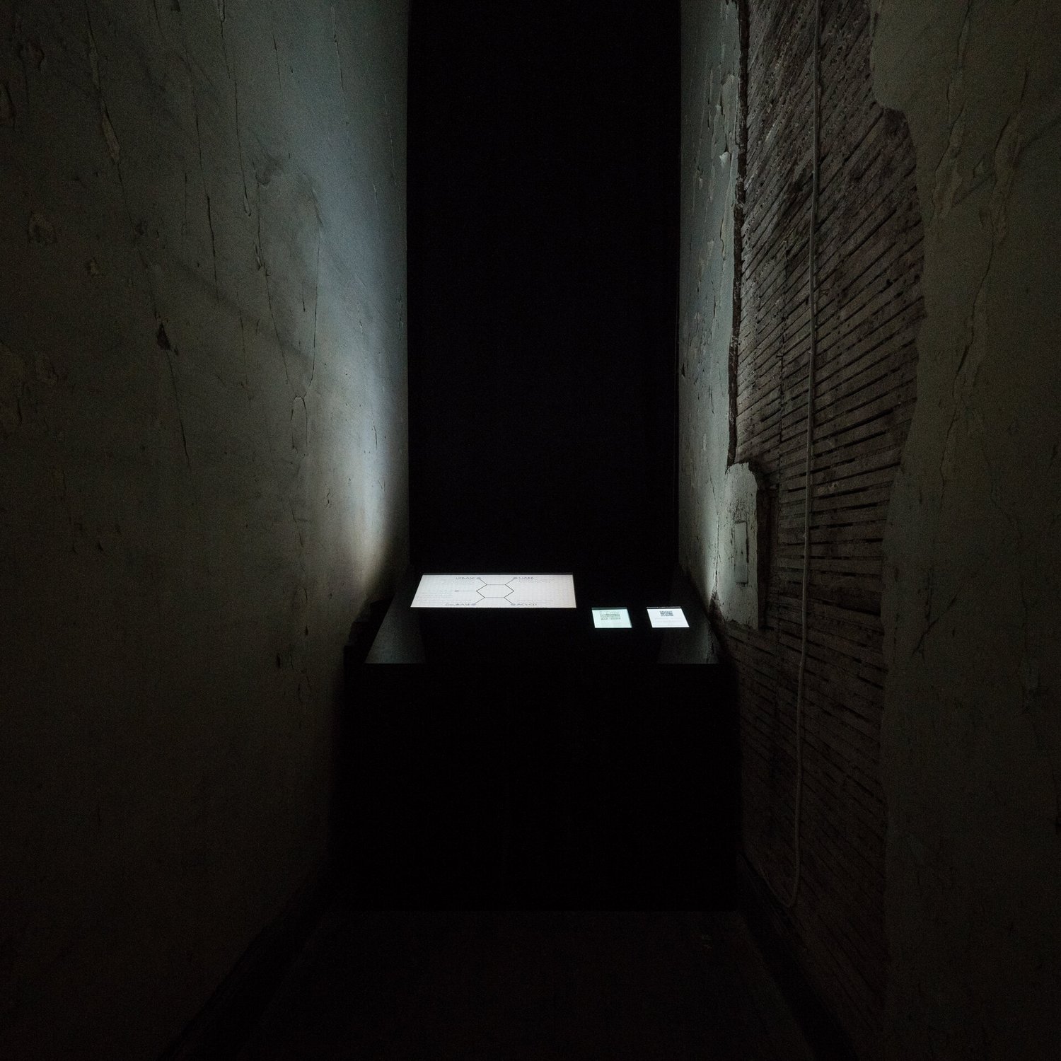 Taptik_BAHAR_DSC5165-photocredit-TaptikGorLab.jpg