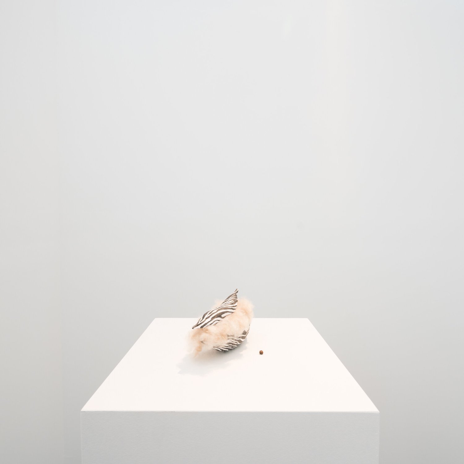 Dunne_BAHAR_DSC5339-photocredit-TaptikGorLab.jpg