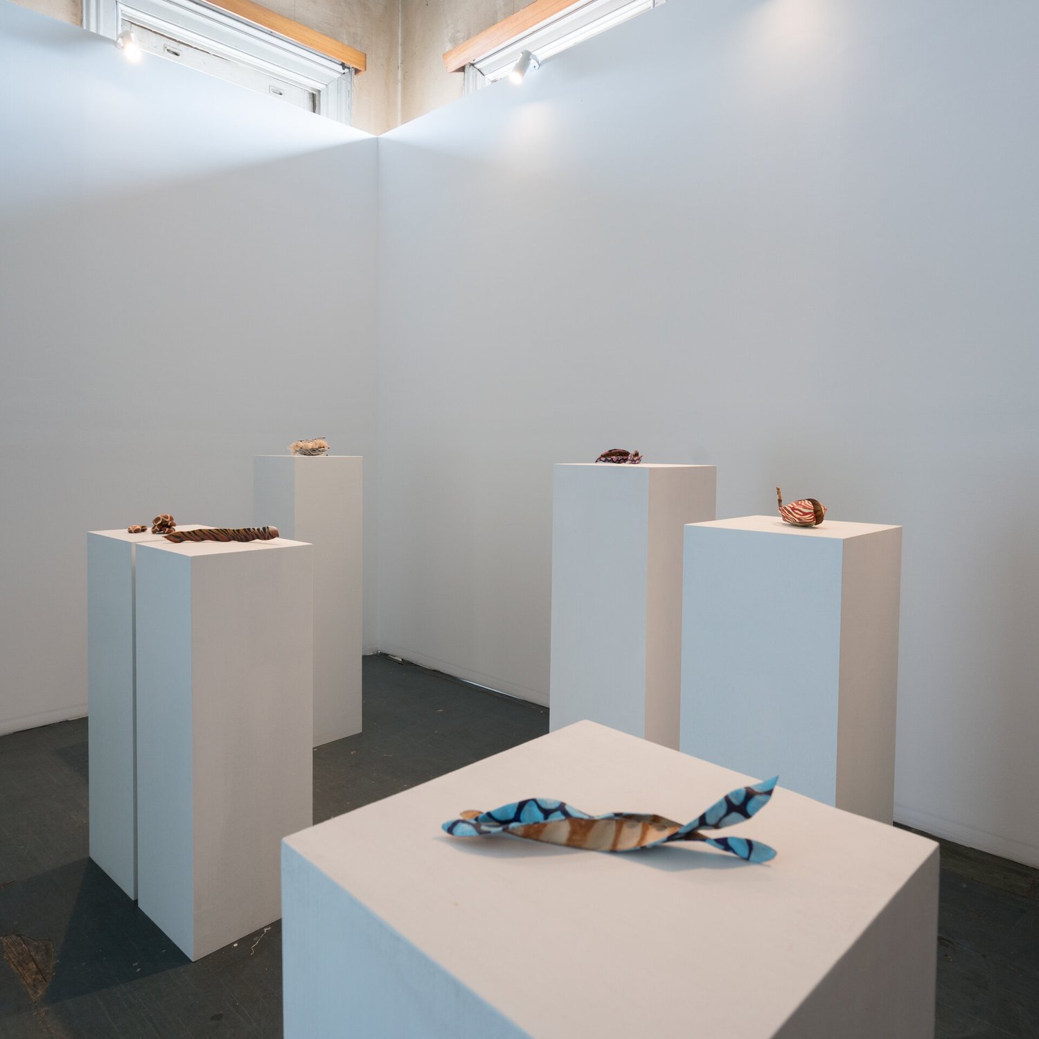 Dunne_BAHAR_DSC5330-photocredit-TaptikGorLab.jpg