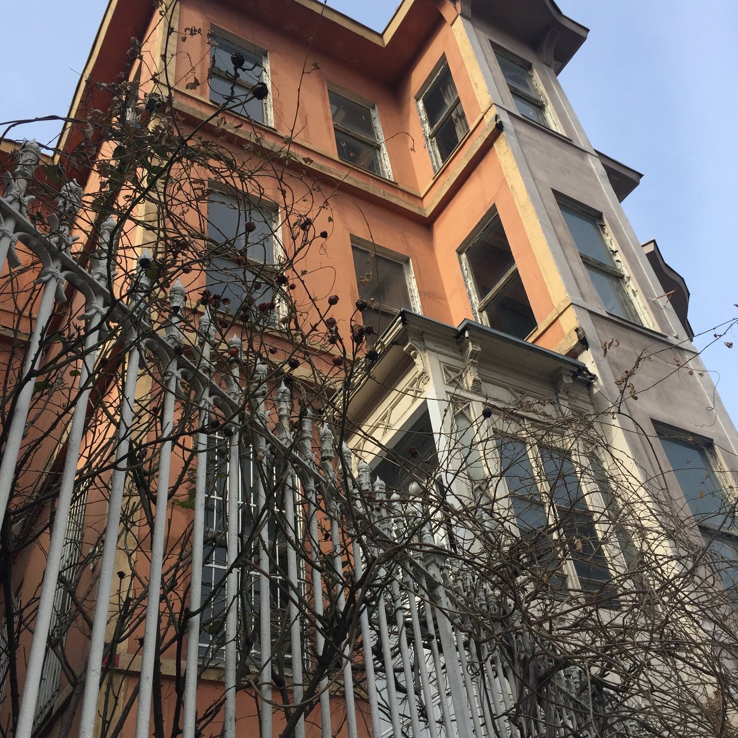 A view of the building from the street**