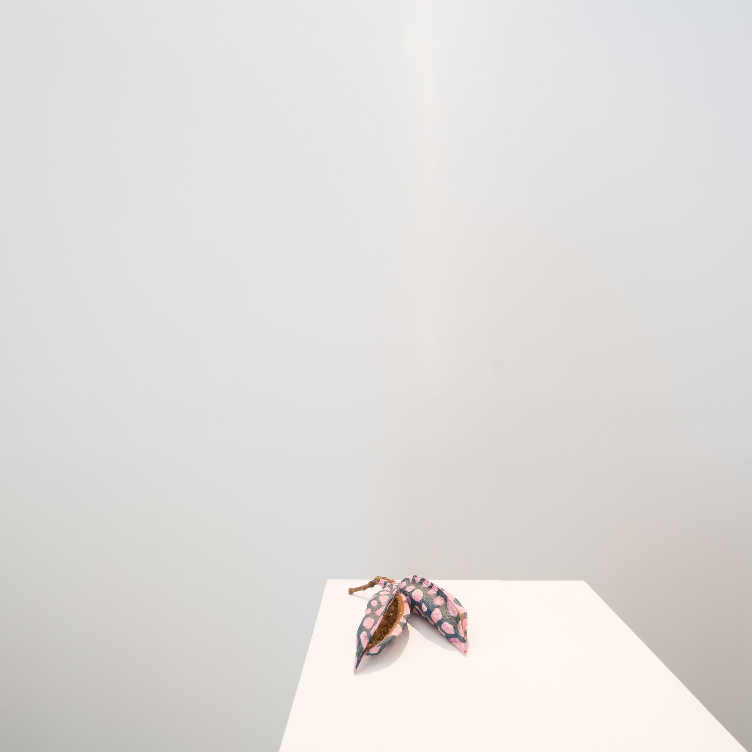 Dunne_BAHAR_DSC5336-photocredit-TaptikGorLab.jpg