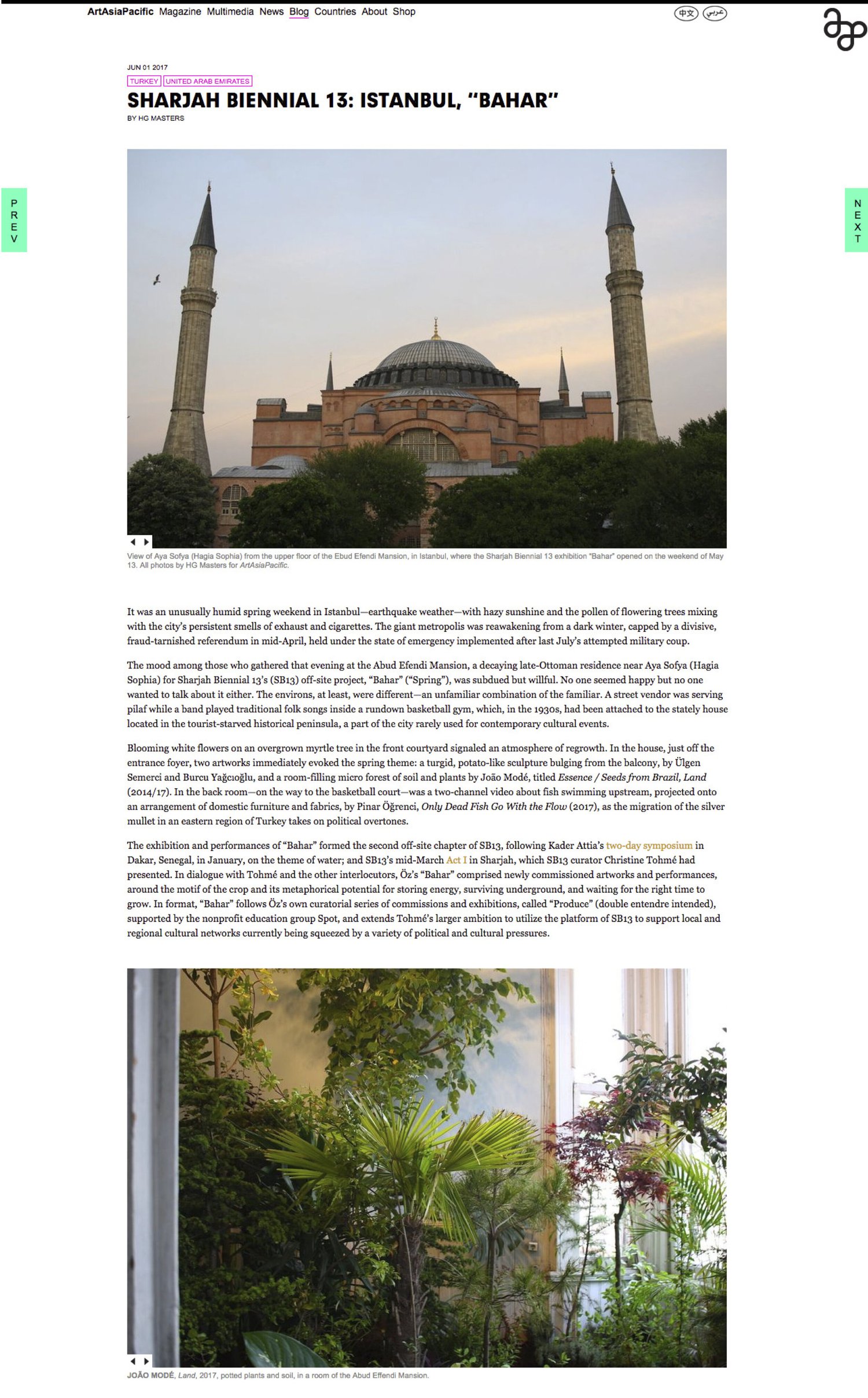 Art Asia Pacific (June 2017), Sharjah Biennial 13: Istanbul, ‘Bahar’