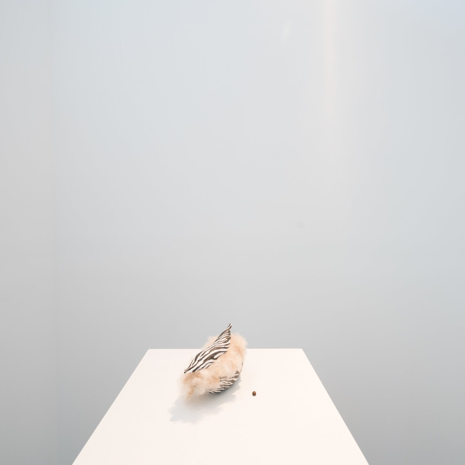 Dunne_BAHAR_DSC5338-photocredit-TaptikGorLab.jpg