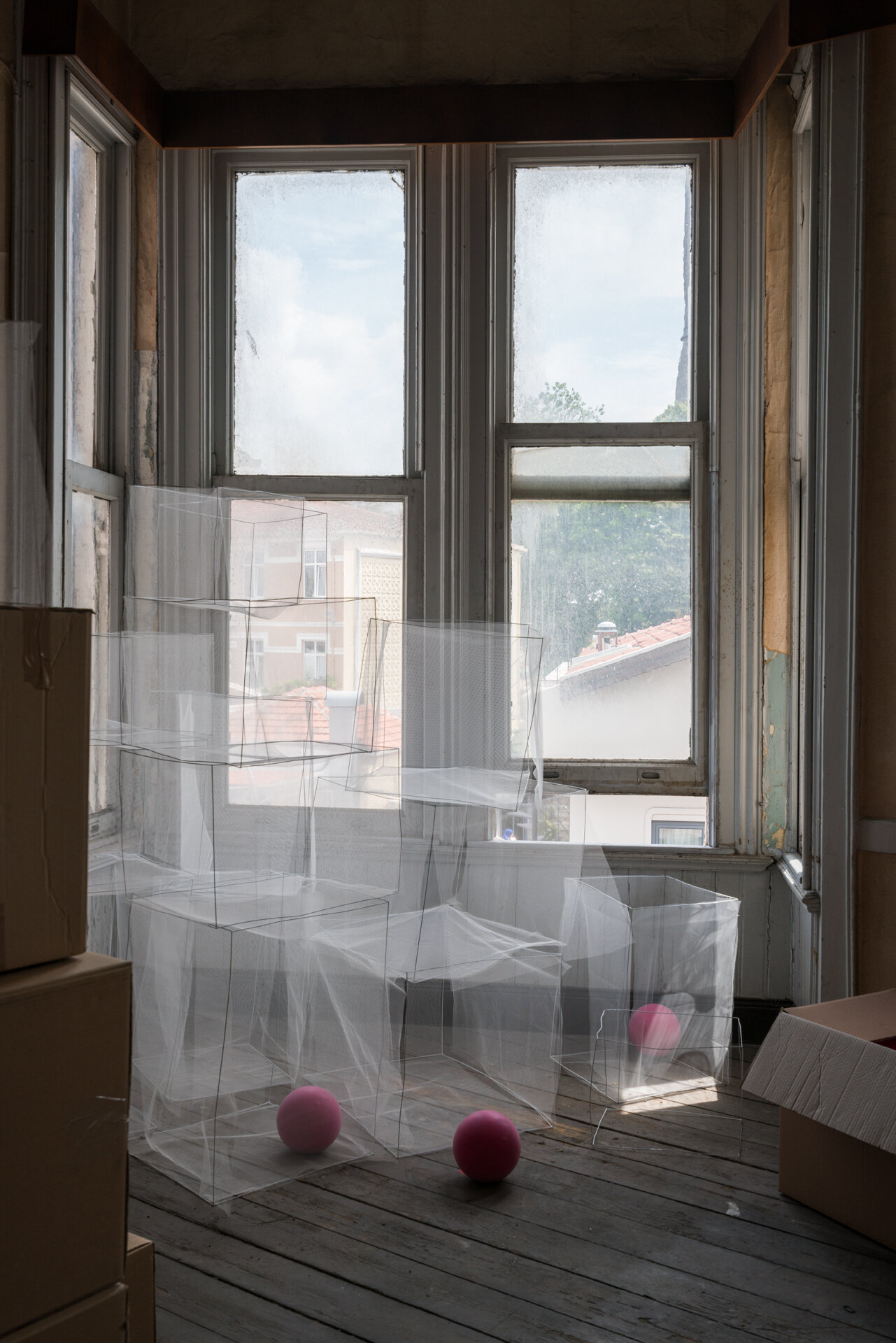 Basoz_BAHAR_DSC5456-photocredit-TaptikGorLab.jpg