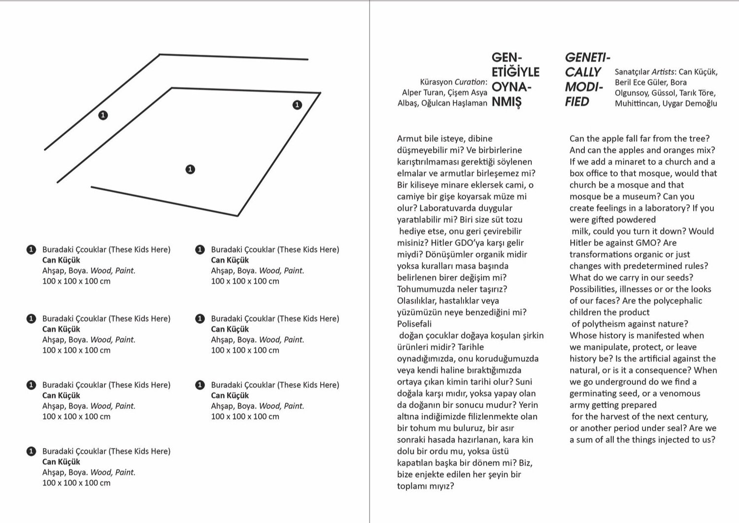dasproject-flyer-back.jpg